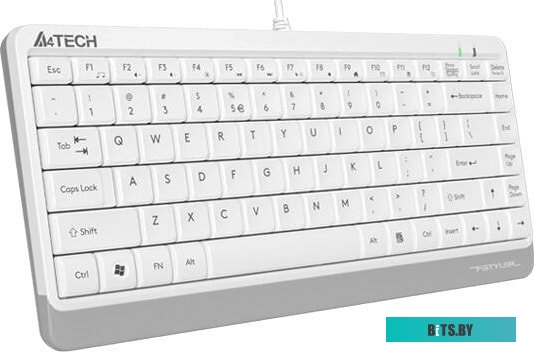 Клавиатура A4Tech Fstyler FK11 (белый/серый)