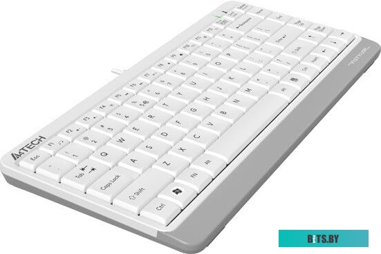 Клавиатура A4Tech Fstyler FK11 (белый/серый)