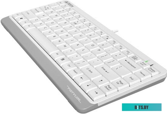 Клавиатура A4Tech Fstyler FK11 (белый/серый)
