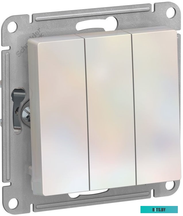 Розетка Schneider Electric AtlasDesign ATN000431