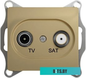 Розетка Schneider Electric Glossa GSL000497 (титан)