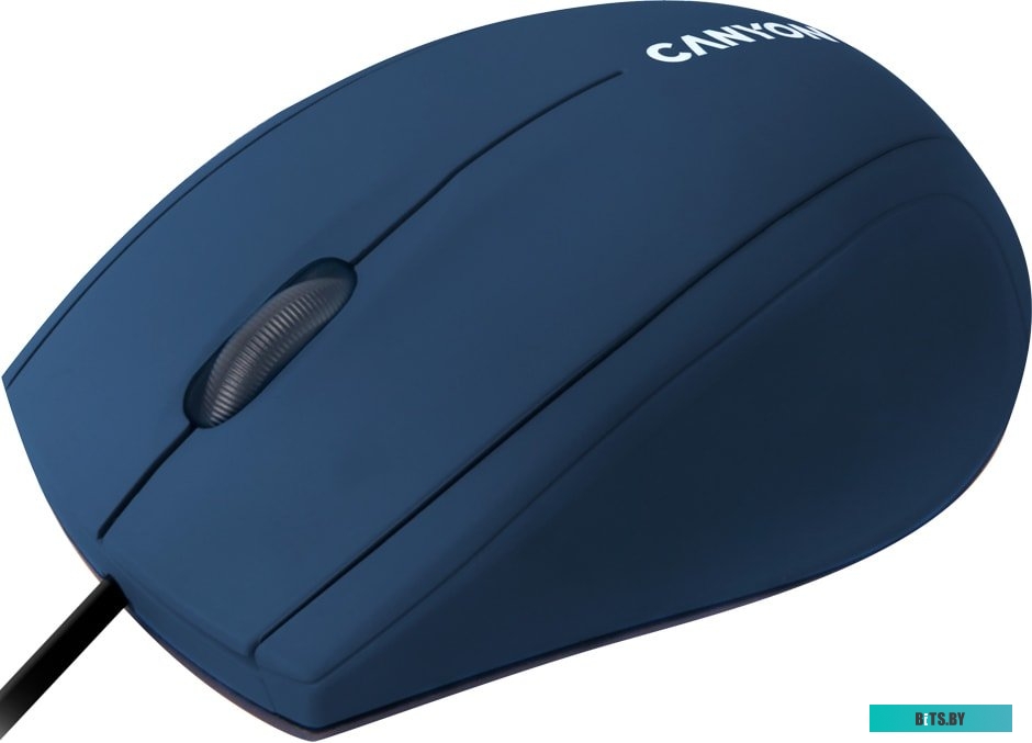 Мышь Canyon M-05 (синий) CNE-CMS05BL