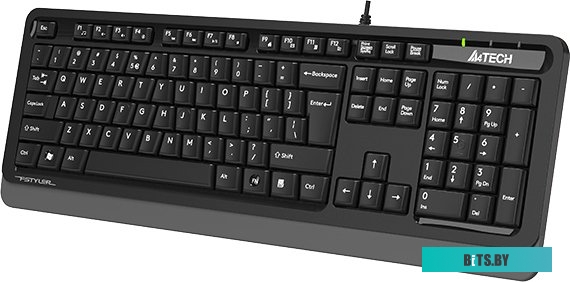 Клавиатура A4Tech Fstyler FKS10 (черный/серый)