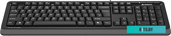 Клавиатура A4Tech Fstyler FKS10 (черный/серый)