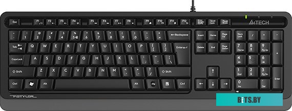 Клавиатура A4Tech Fstyler FKS10 (черный/серый)