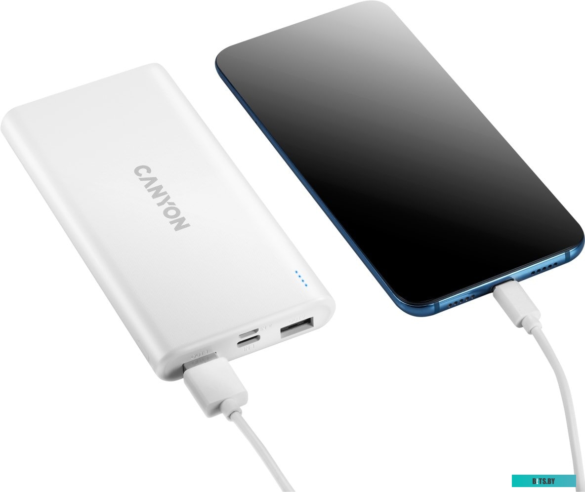Портативное зарядное устройство Canyon CNE-CPB1006W
