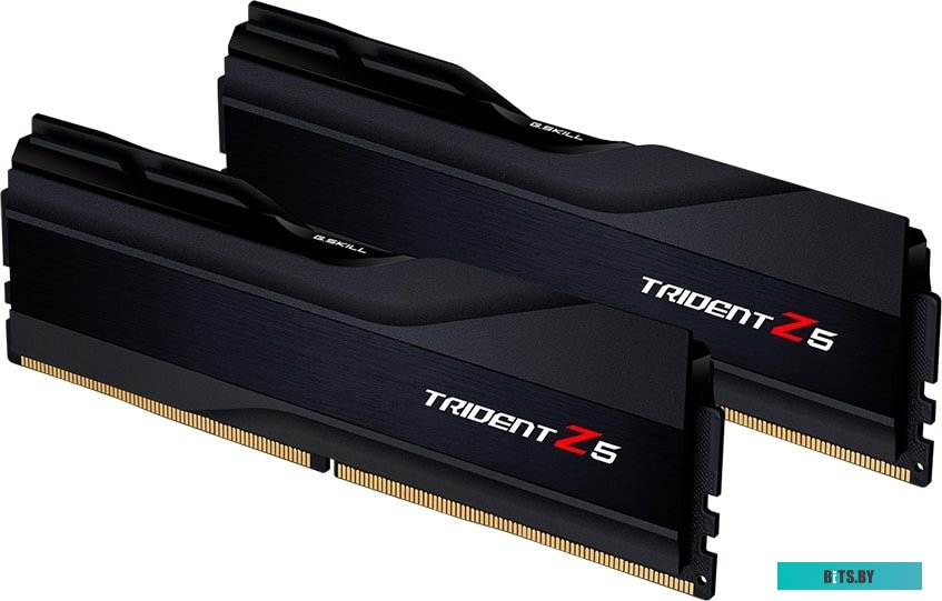 Оперативная память G.Skill Trident Z5 2x16GB DDR5 PC5-48000 F5-6000J3636F16GX2-TZ5K