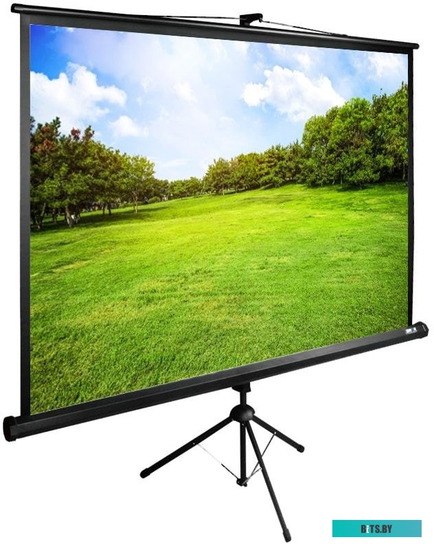 Экран для проекторов Cactus TriExpert 150x200 CS-PSTE-200X150-BK