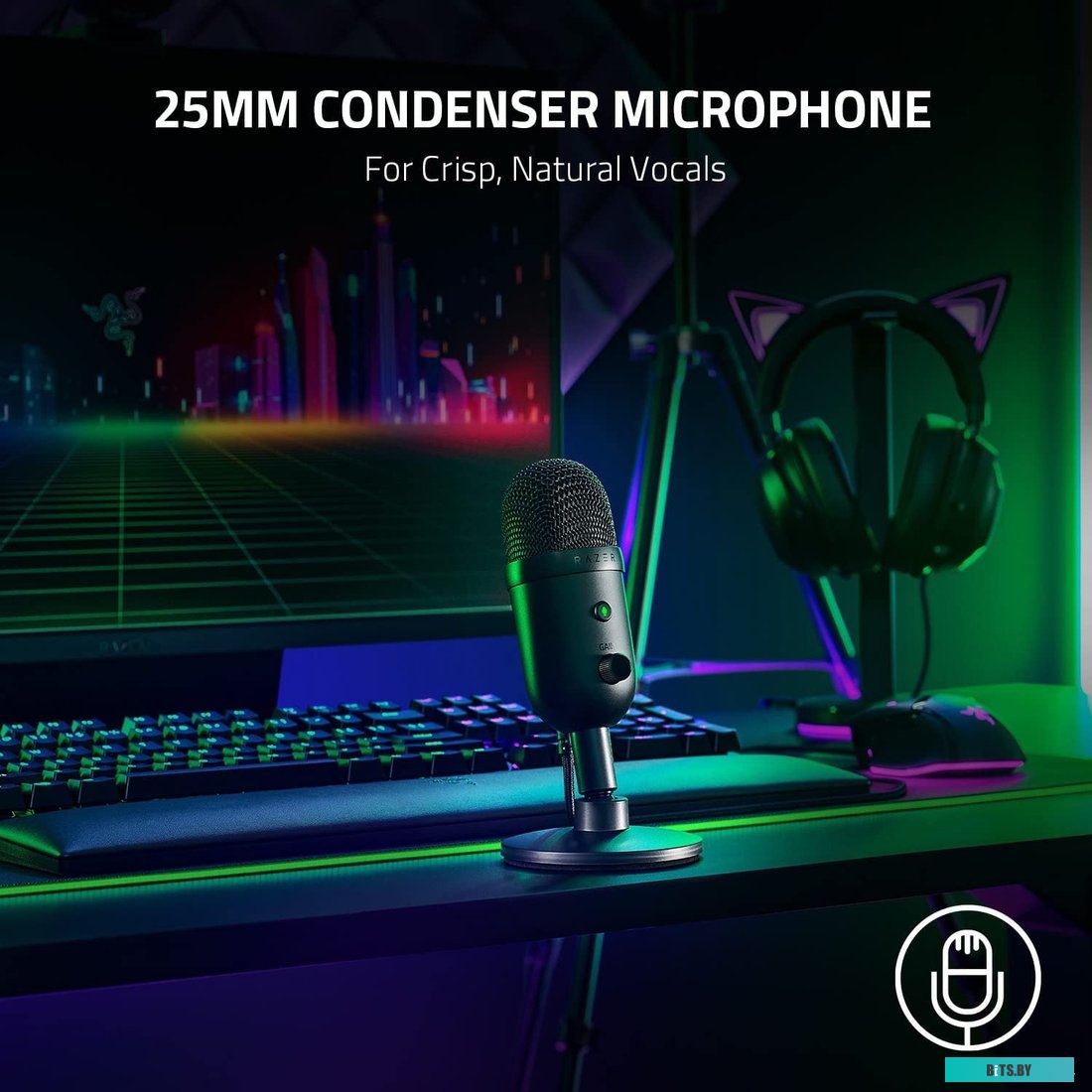 Микрофон Razer Seiren V2 X <RZ19-04050100-R3M1>