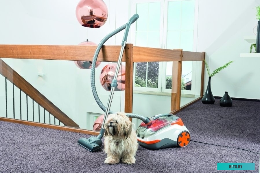 Пылесос Thomas DryBOX+AquaBOX CAT & DOG 786554