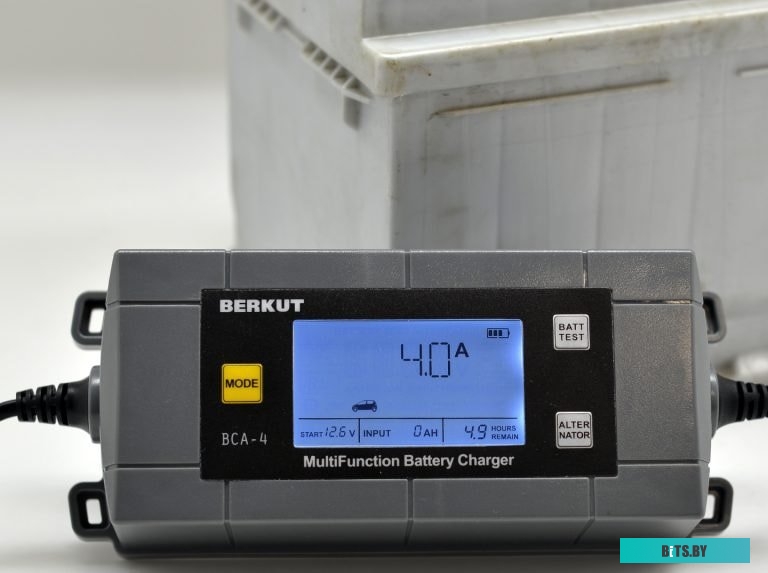 Зарядное устройство Беркут BCA-4