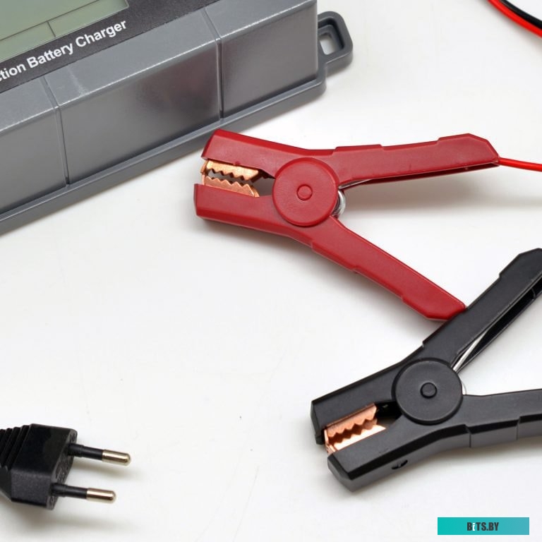 Зарядное устройство Беркут BCA-4