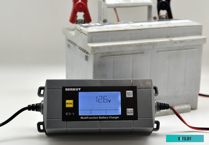 Зарядное устройство Беркут BCA-4