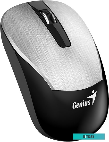 Мышь Genius ECO-8015 (серебристый) <31030005401>