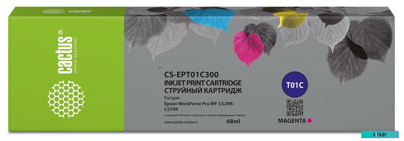 Картридж CACTUS CS-EPT01C300 (аналог Epson T01C3)