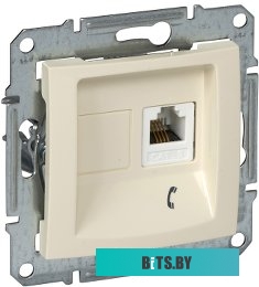Розетка компьютерная Schneider Electric Sedna SDN4101147