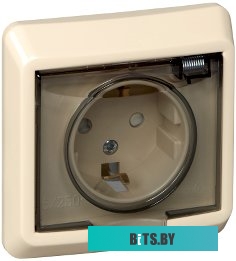 Розетка Schneider Electric Этюд PC16-044K
