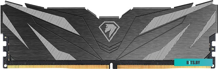 Оперативная память Netac Shadow II 16ГБ DDR5 4800 МГц NTSWD5P48SP-16K