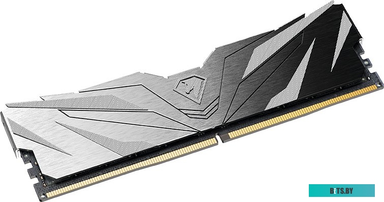 Оперативная память Netac Shadow II 16ГБ DDR5 4800 МГц NTSWD5P48SP-16K