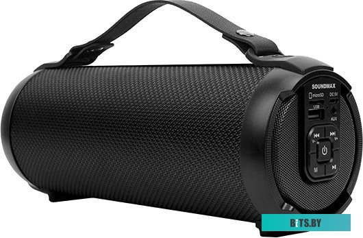 Беспроводная колонка Soundmax SM-PS5020B (черный)
