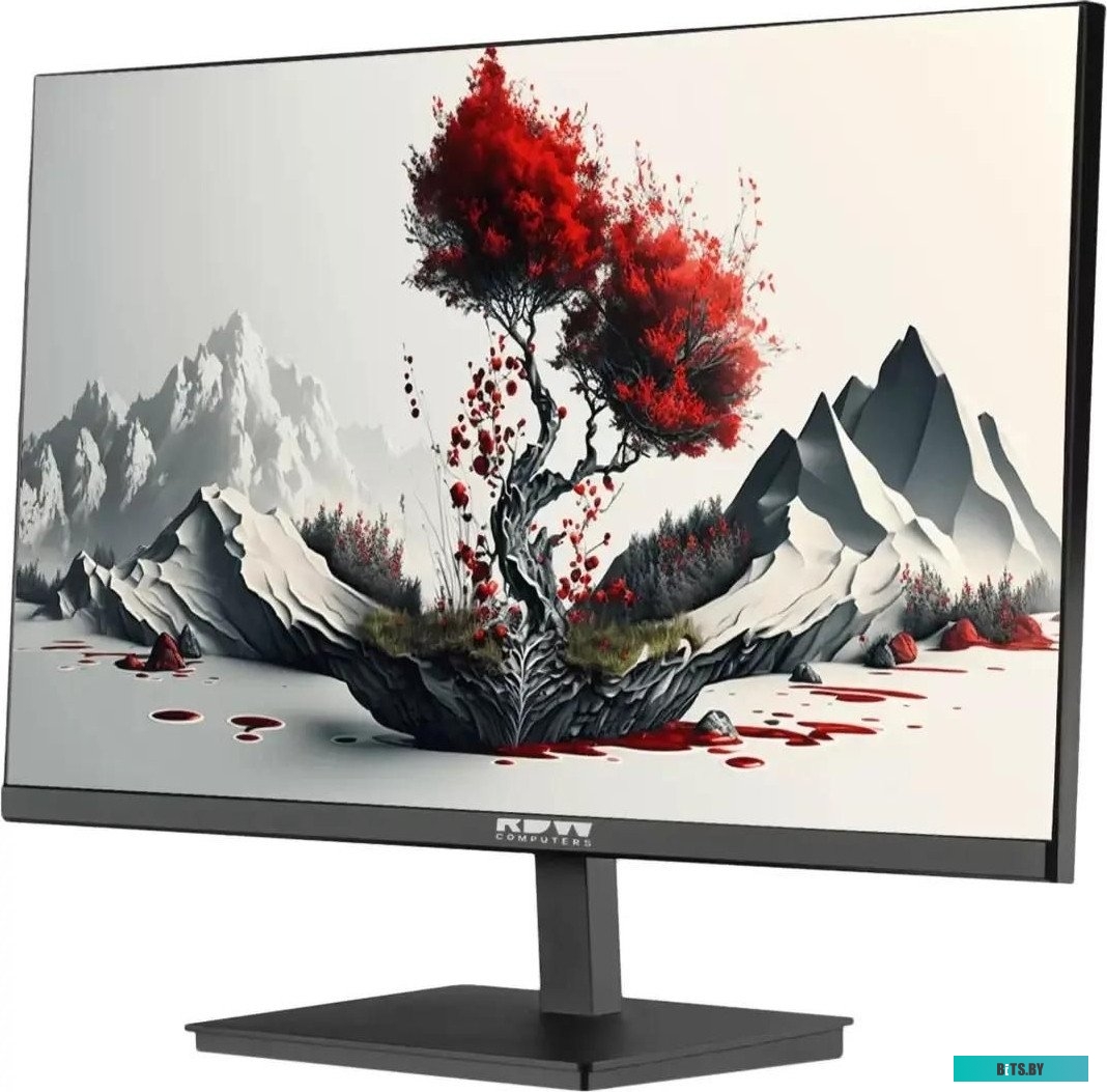 23.8" Монитор RDW COMPUTERS 2401K,  "R", 1920x1080,  IPS,  100Гц,  1хHDMI,  1хDP,  черный [2401k/f00в3100v2a1h] 2401K/F00В3100V2A1H
