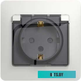 Розетка Schneider Electric Glossa GSL000148 (белый)
