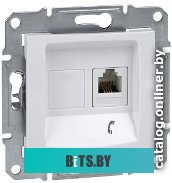 Розетка компьютерная Schneider Electric Sedna SDN4101121