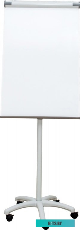 Магнитно-маркерная доска CACTUS CS-FCR-M67x105