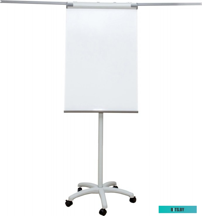 Магнитно-маркерная доска CACTUS CS-FCR-M67x105