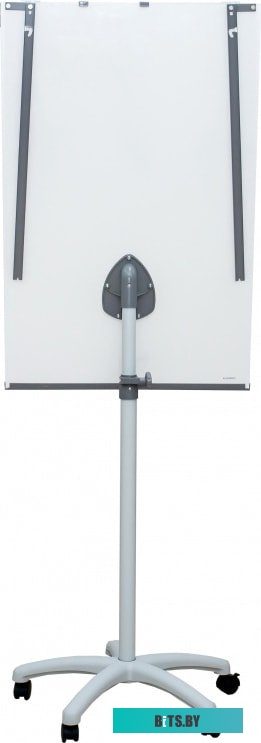 Магнитно-маркерная доска CACTUS CS-FCR-M67x105