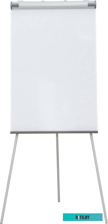 Магнитно-маркерная доска CACTUS CS-FCT-W67x105