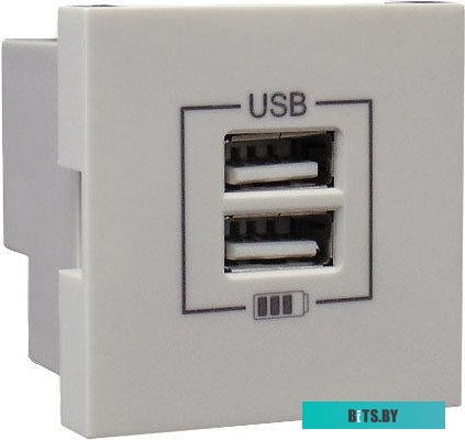 Розетка USB Efapel 45439 SGE