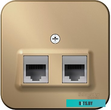 Розетка компьютерная Schneider Electric Blanca BLNIA045454