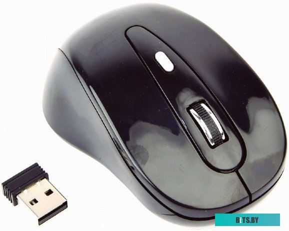 Мышь Gembird MUSW-6B-01