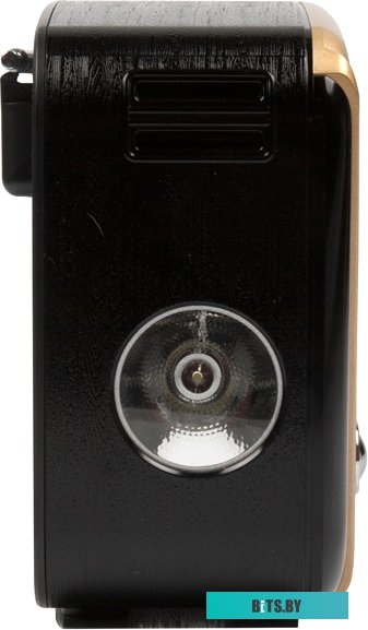 Радиоприемник Ritmix RPR-050 Gold