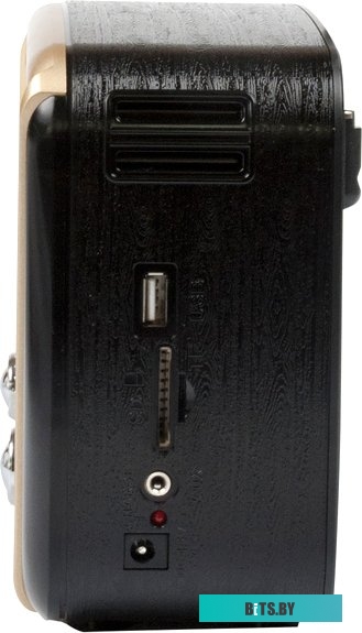 Радиоприемник Ritmix RPR-050 Gold
