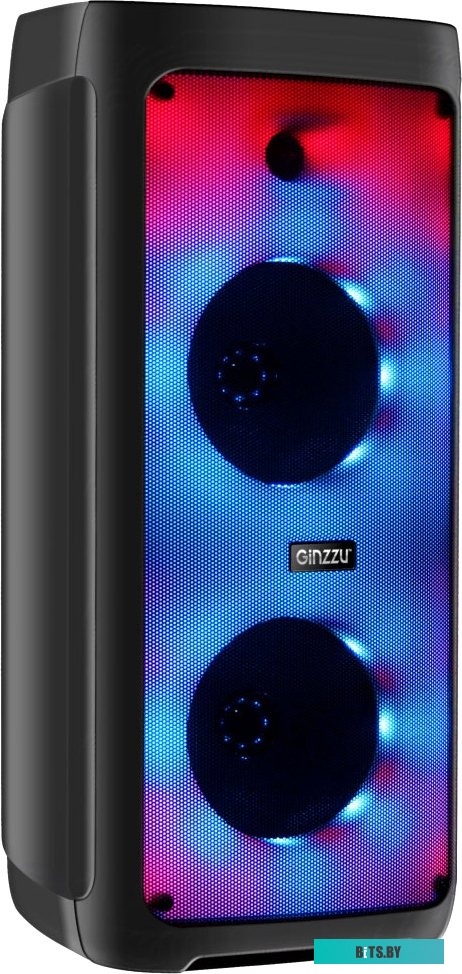 Беспроводная колонка Ginzzu GM-218