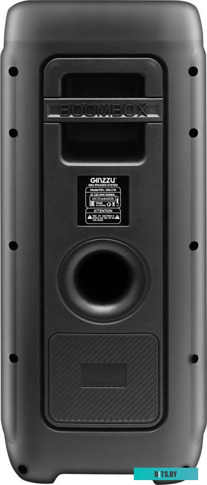 Беспроводная колонка Ginzzu GM-218