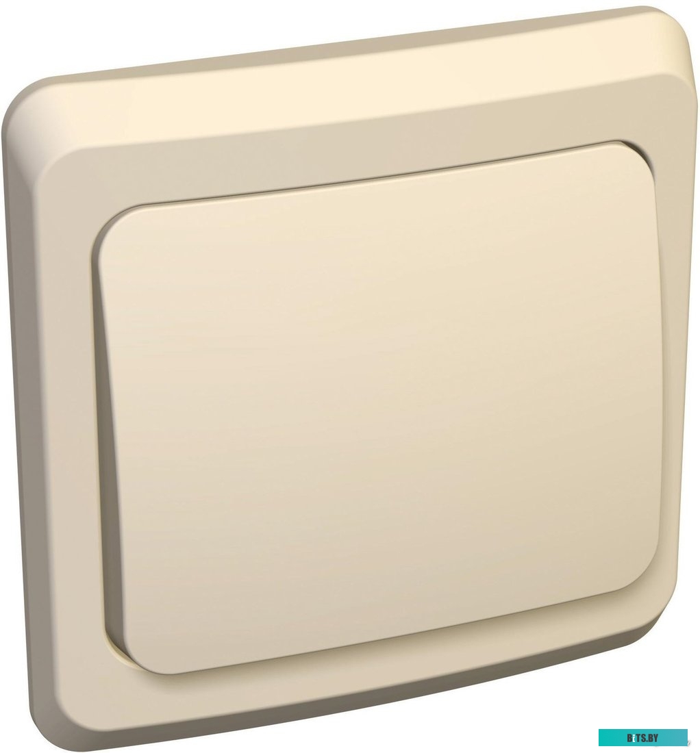 Выключатель Schneider Electric Этюд BC10-001K