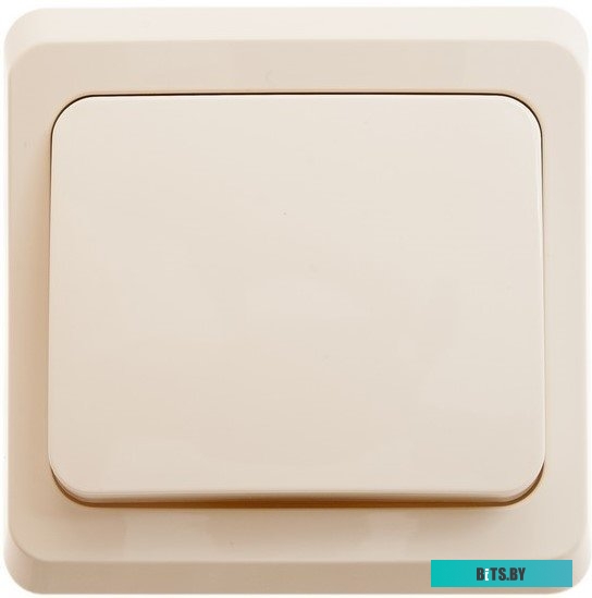 Выключатель Schneider Electric Этюд BC10-001K