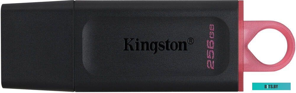 USB накопитель (Флешка) Kingston Exodia 256GB <DTX/256GB>