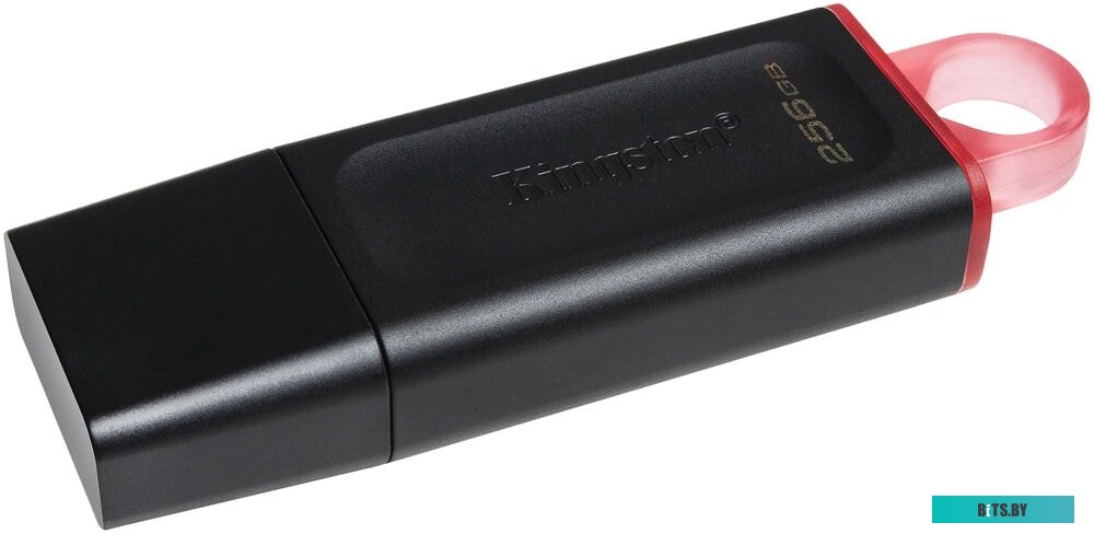 USB накопитель (Флешка) Kingston Exodia 256GB <DTX/256GB>