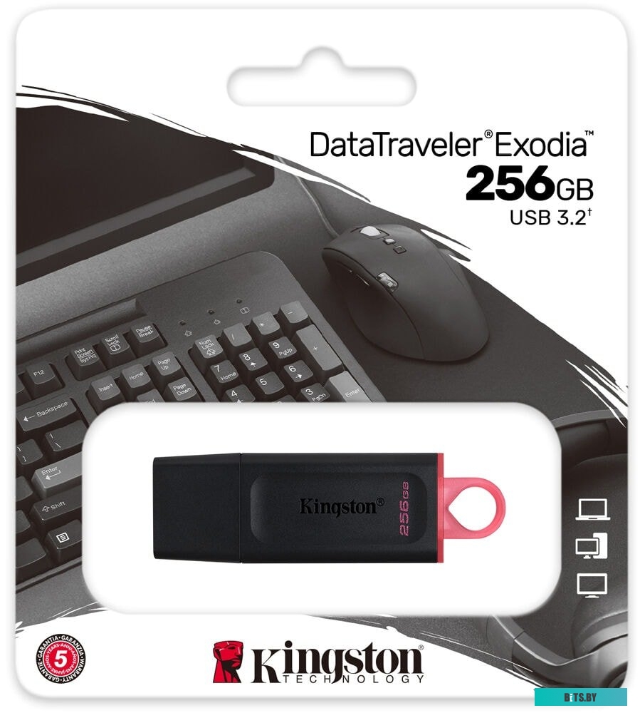 USB накопитель (Флешка) Kingston Exodia 256GB <DTX/256GB>