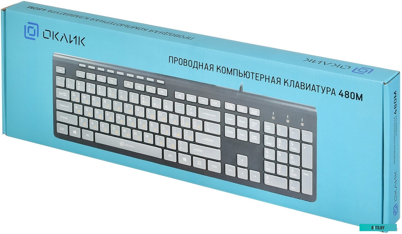 Клавиатура Oklick 480M (черный/серый) <1067199>