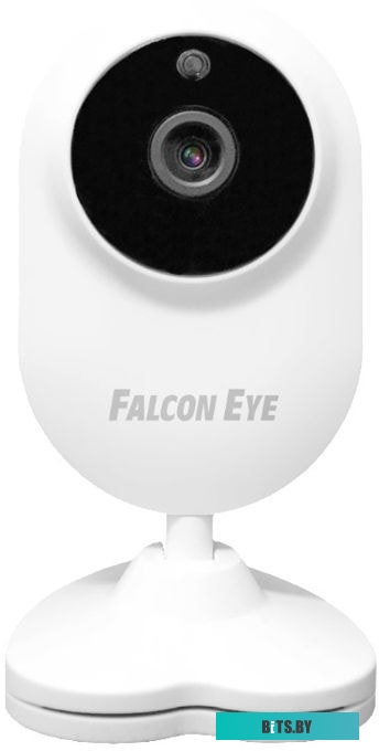 IP-камера Falcon Eye Spaik 1