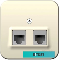 Розетка компьютерная Schneider Electric Blanca BLNIA045452
