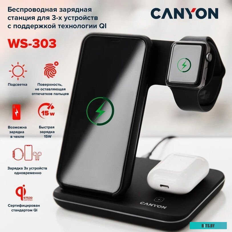 Беспроводное зарядное Canyon CNS-WCS303B