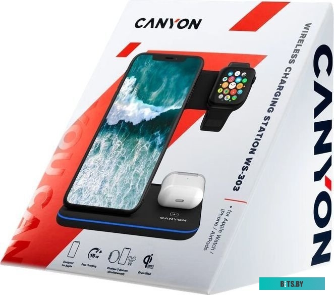 Беспроводное зарядное Canyon CNS-WCS303B