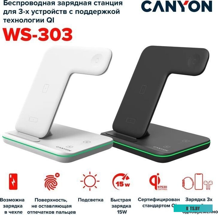 Беспроводное зарядное Canyon CNS-WCS303B