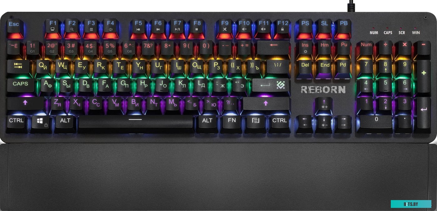 Клавиатура Defender Reborn GK-165DL RU <45165>